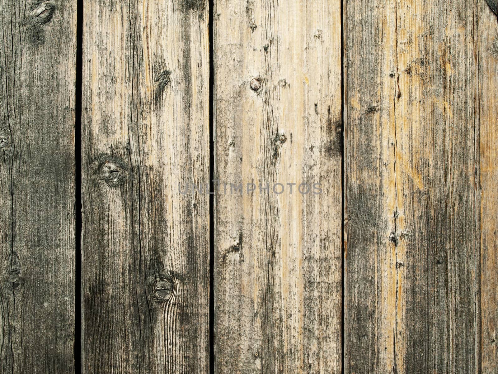 Photo of the Abstract Natural Wooden Background