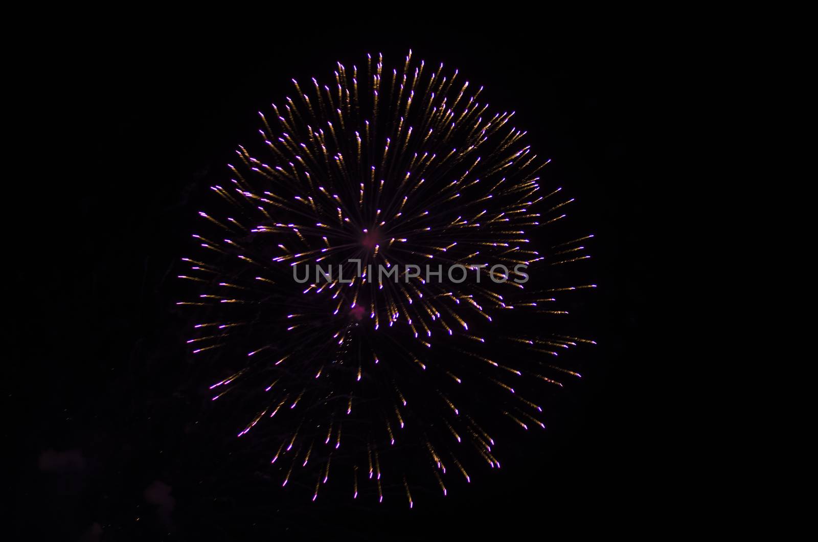 celebrate festival fire work on black sky background