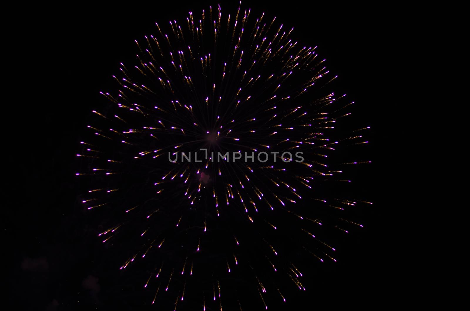 celebrate festival fire work on black sky background