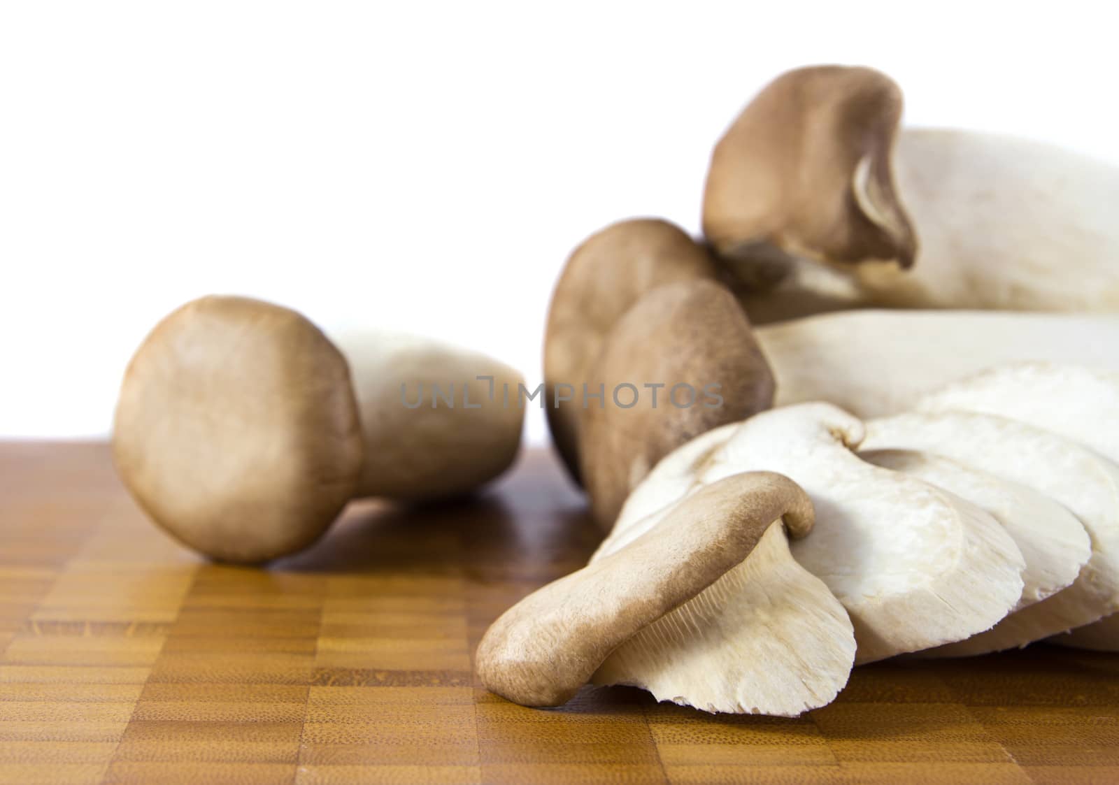 King Oyster Mushroom by Myimagine