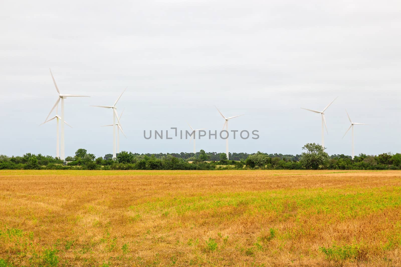 Wind turbines in the countryside, source of alternative energy.