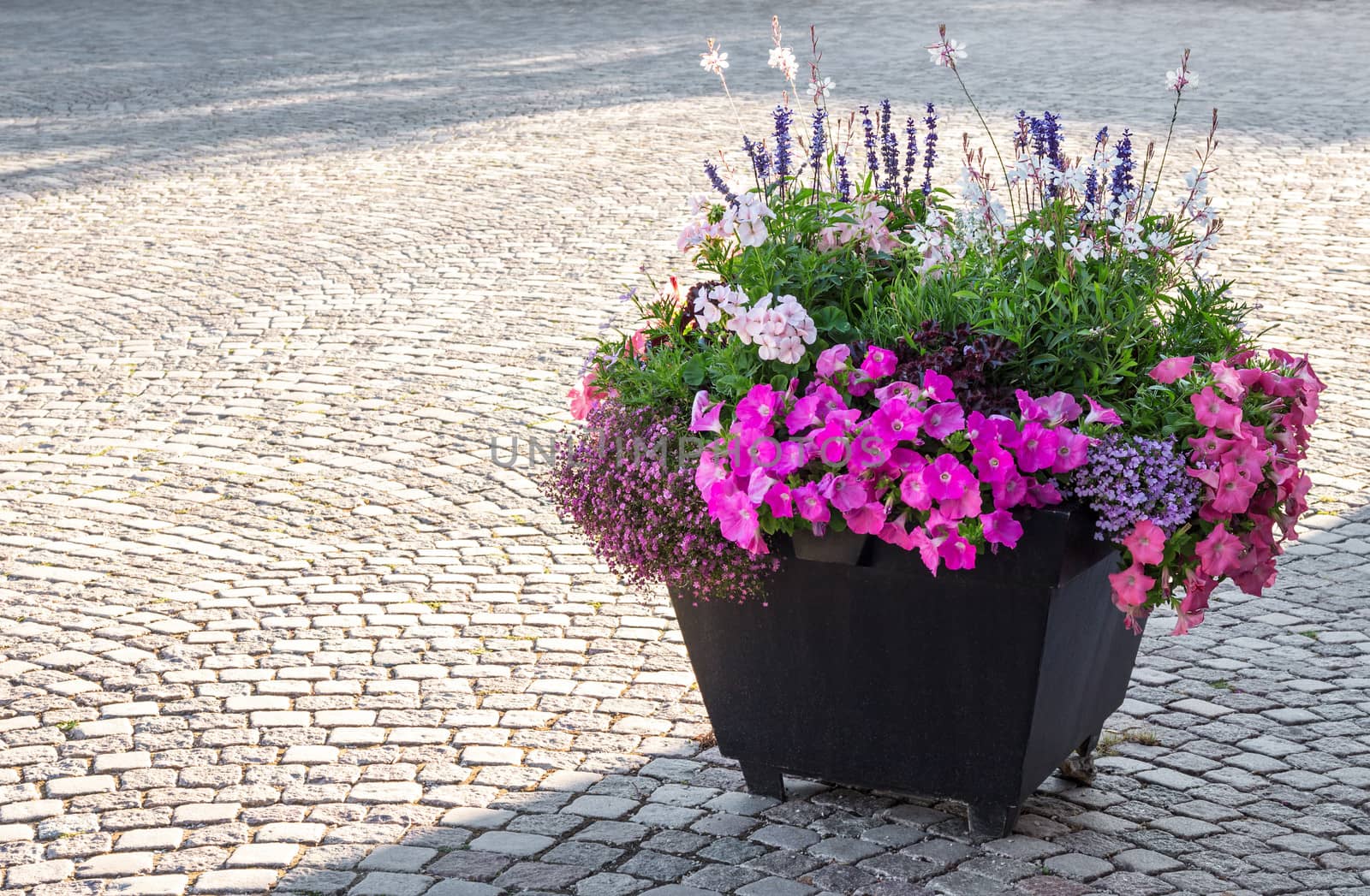 Flowers decorating a city square in sunlight.