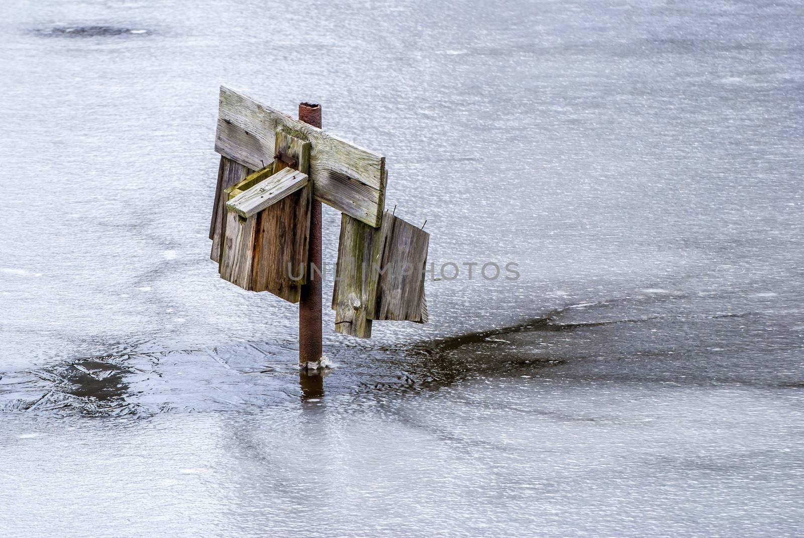 Bird Nesting Box on a frozen swamp pond in the winter.