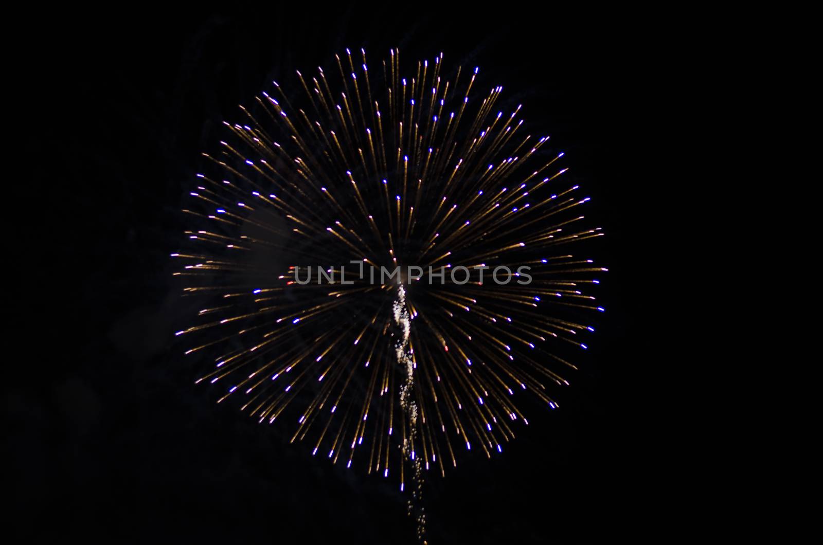 celebrate festival fire work on black sky background