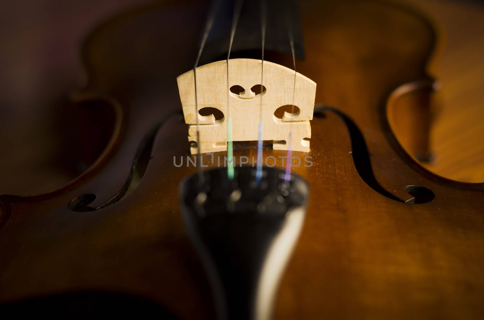 "time to practice violin" violin in vintage style on wood background