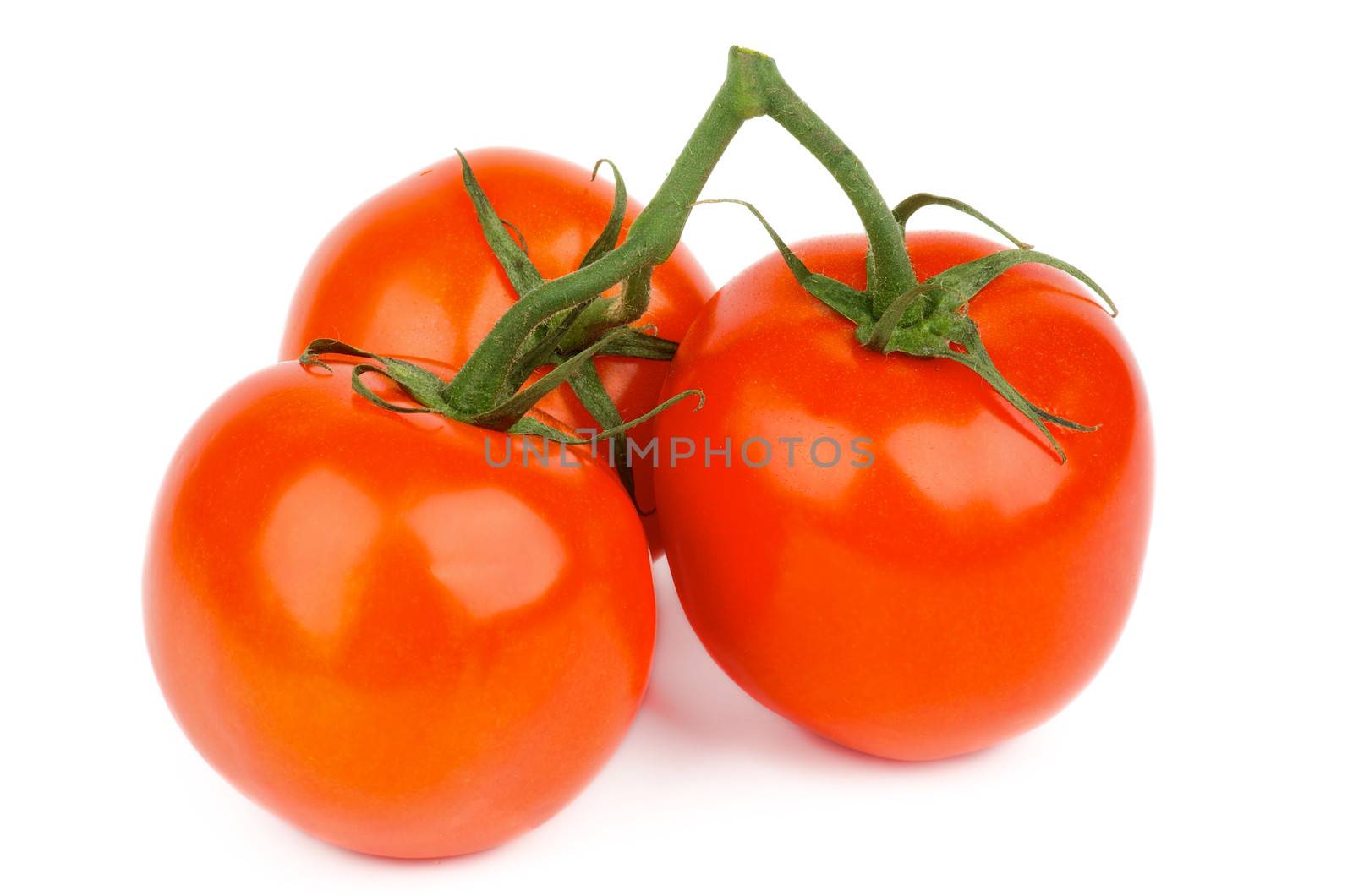 Bunch of Three Ripe Tomatoes with Stems and Twigs isolated on white background