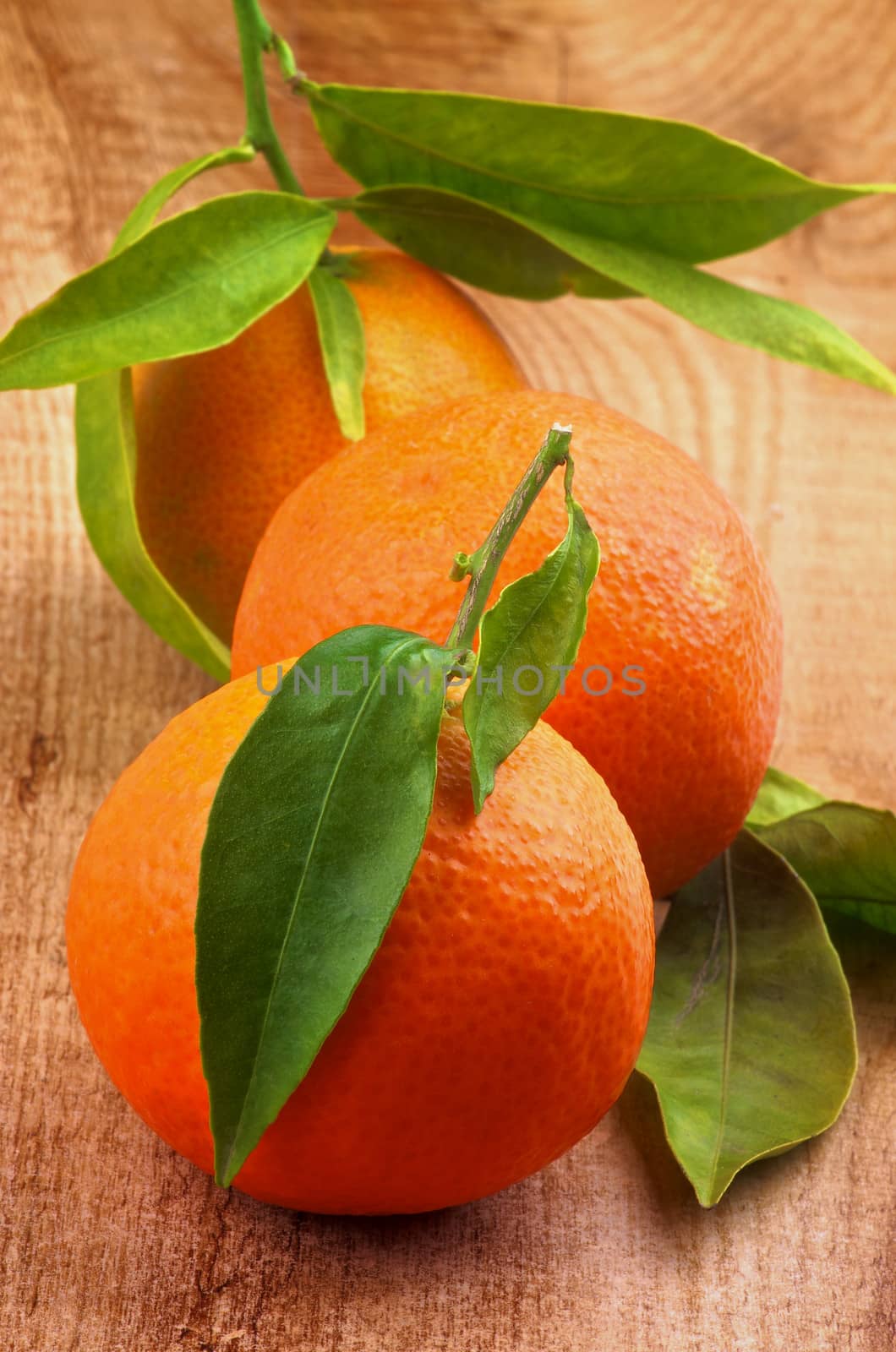 Arrangement pf Fresh Ripe Tangerines with Stems and Leafs In a Row on Rustic Wooden background