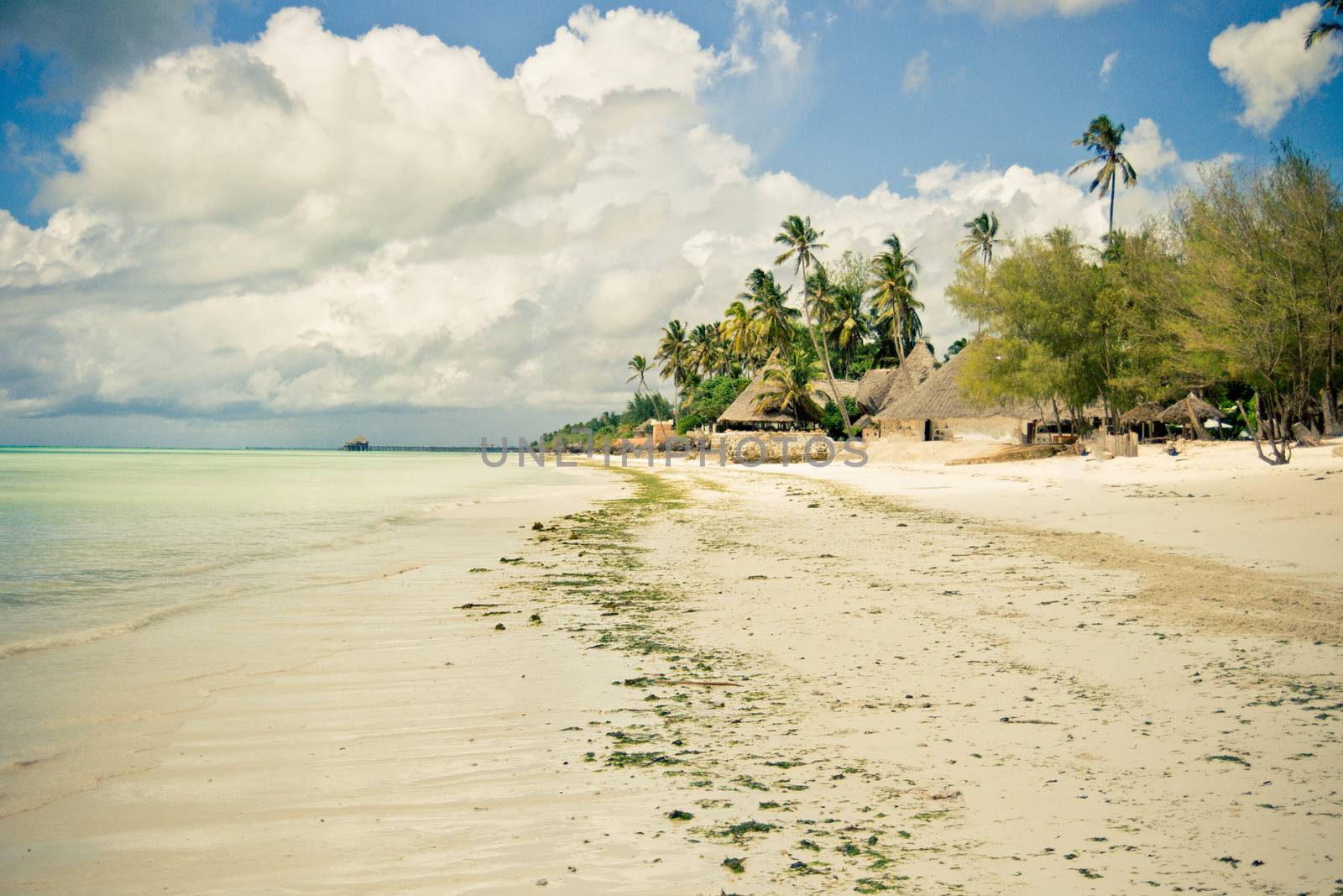 Tropical beach paradise by photovibes