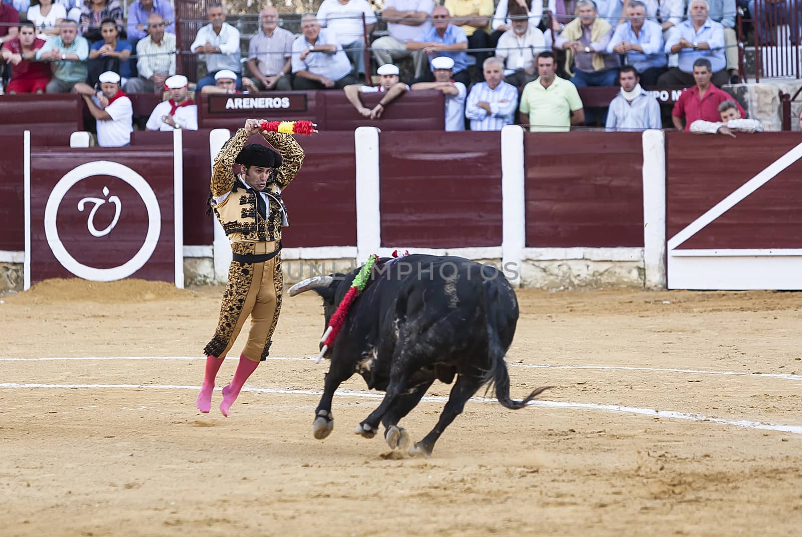 Ubeda, Jaen provincia, SPAIN , 29 september 2010:  Spanish bullfighter Morante de la Puebla putting flags against the bull suspended in the air in Ubeda bullring, Jaen, Spain, 29 September 2010