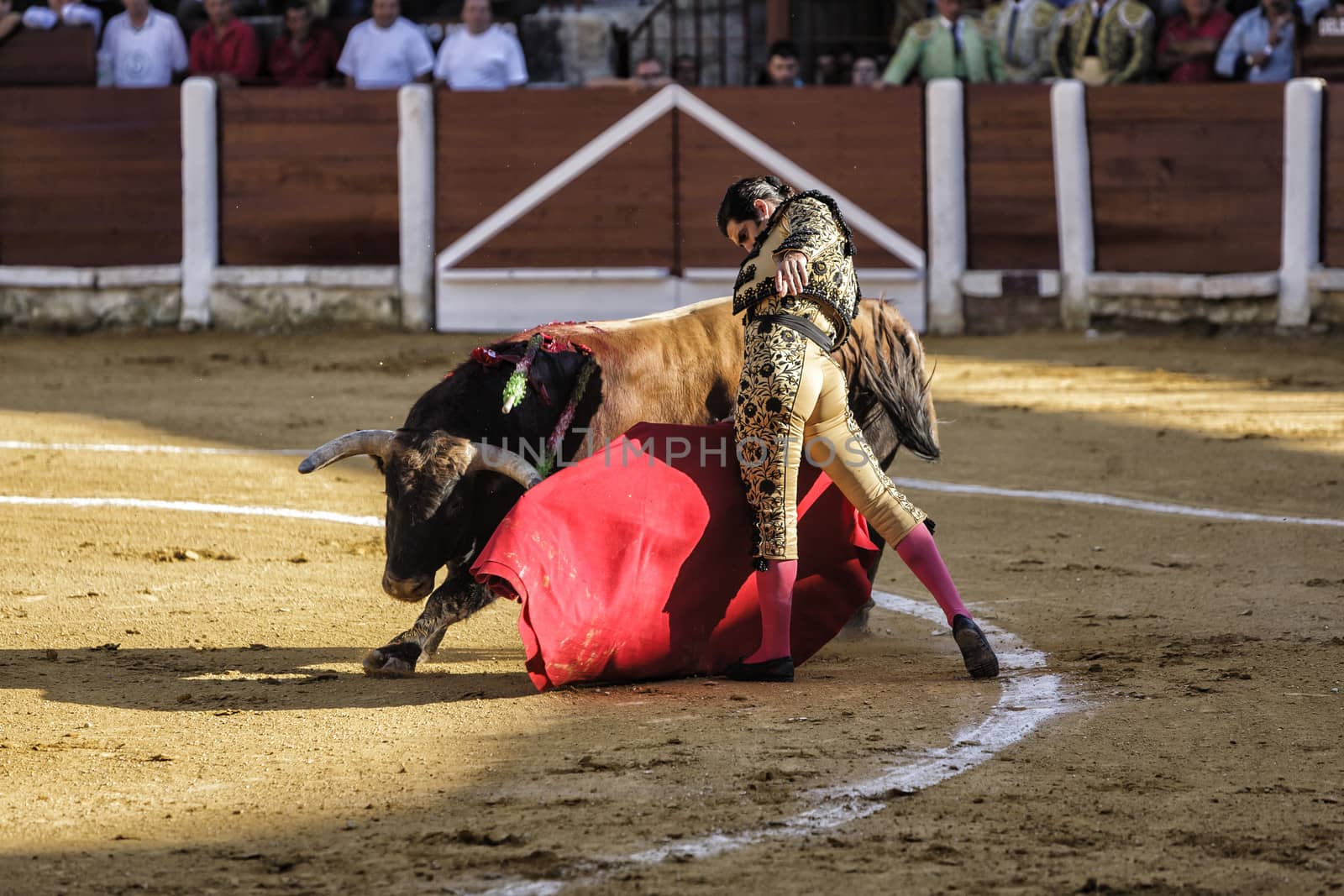 Ubeda, Jaen provincia, SPAIN , 29 september 2010:  Spanish bullfighter Morante de la Puebla bullfighting with the crutch in his first Bull of the afternoon in Ubeda bullring, Jaen, Spain, 29 September 2010