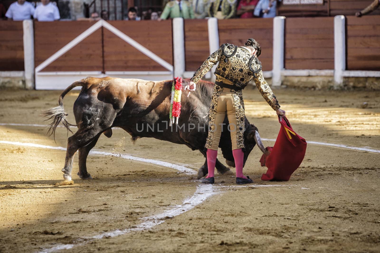 Ubeda, Jaen provincia, SPAIN , 29 september 2010:  Spanish bullfighter Morante de la Puebla bullfighting with the crutch in his first Bull of the afternoon in bullring of Ubeda, Jaen, Spain, 29 September 2010