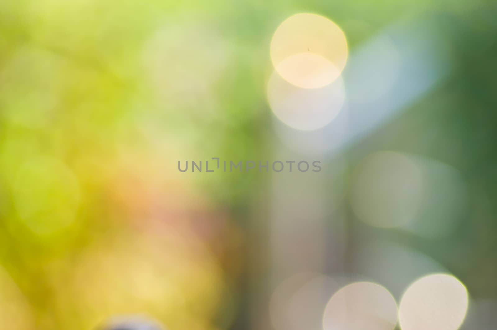 Defocus of light by buffaloboy