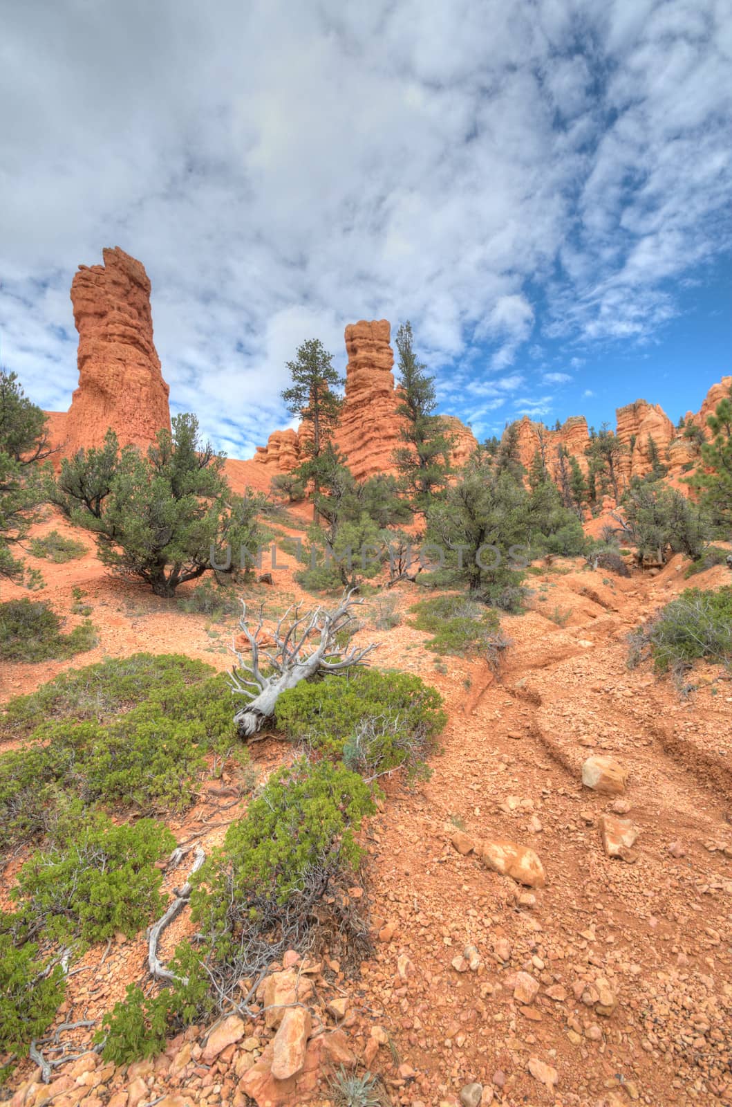 Bryce Canyon entry west USA utah 2013