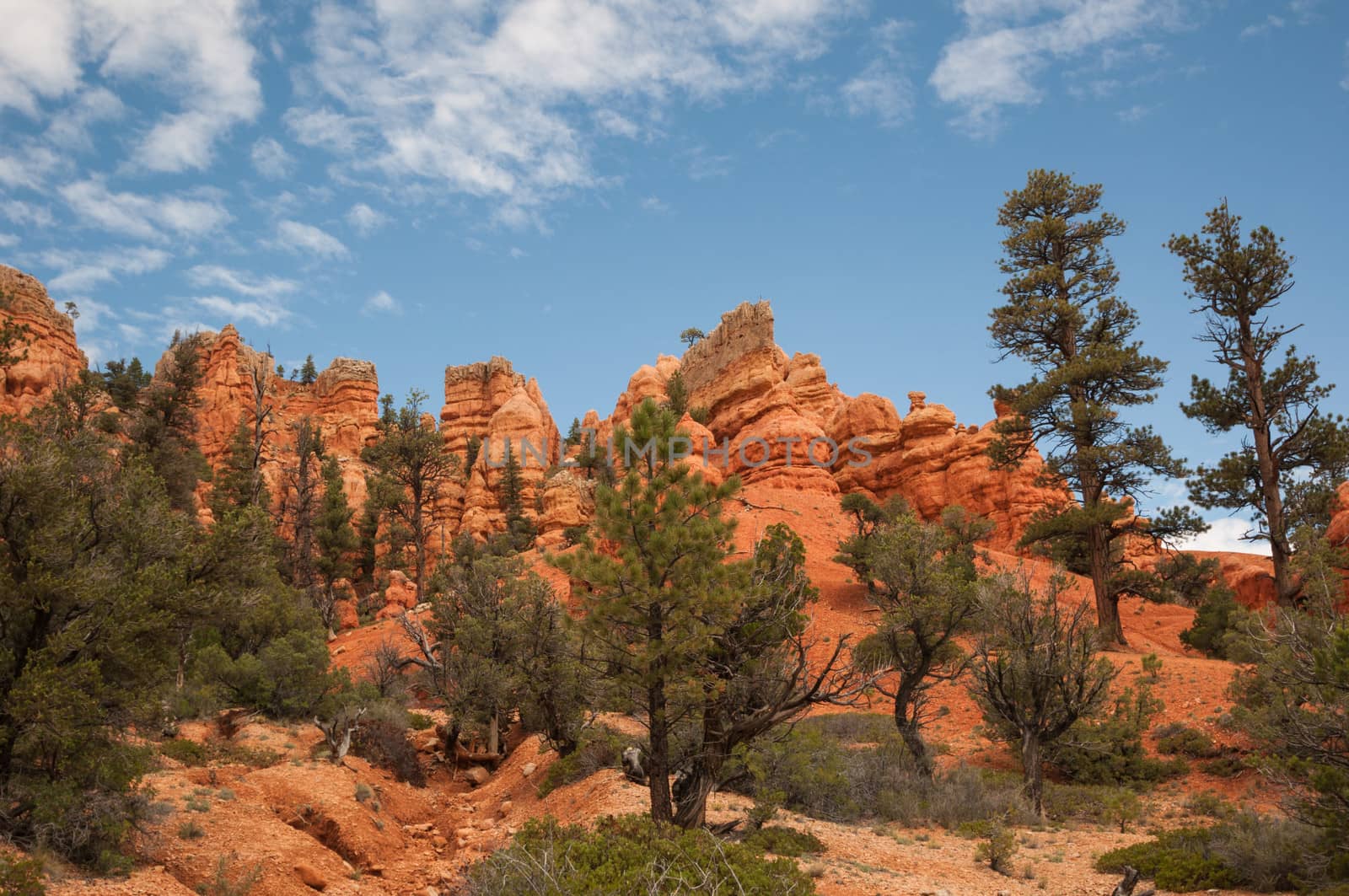 red Bryce Canyon by weltreisendertj