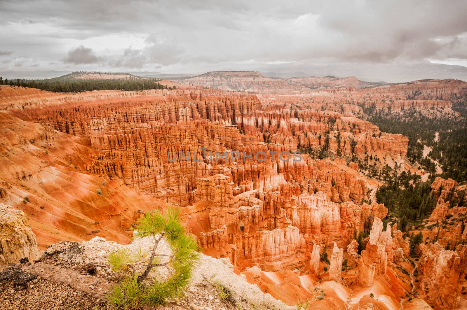 Bryce Canyon red amphitheater west USA utah 2013