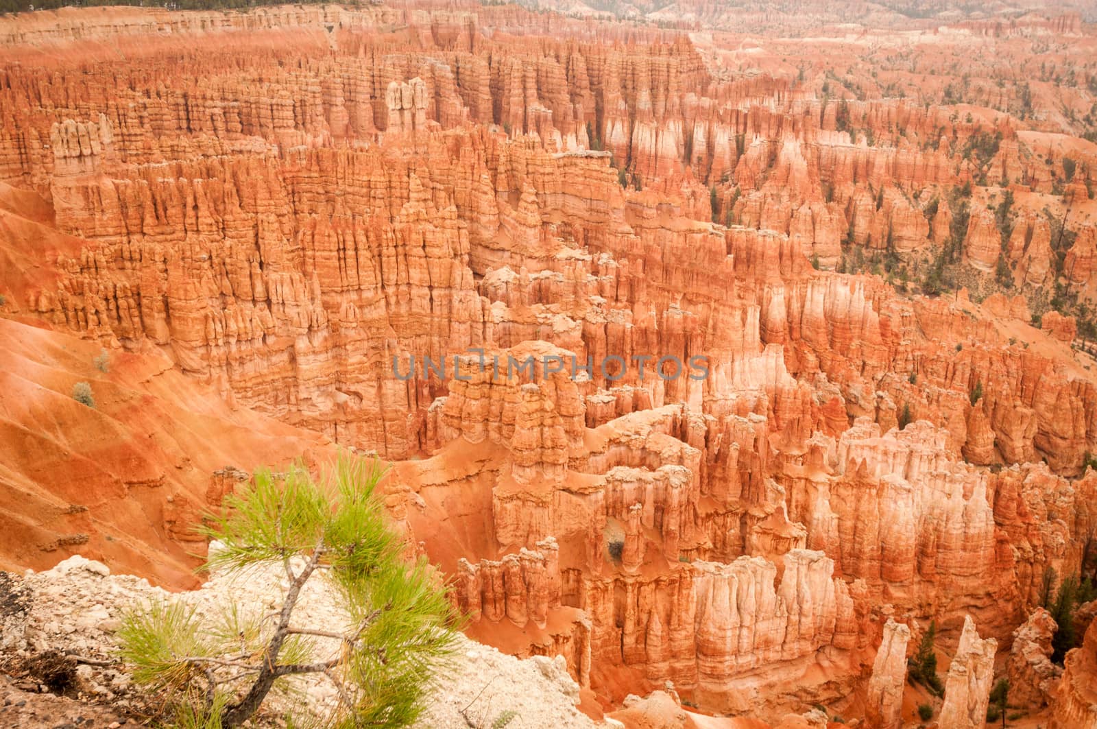 Bryce Canyon amphitheater red west USA utah 2013
