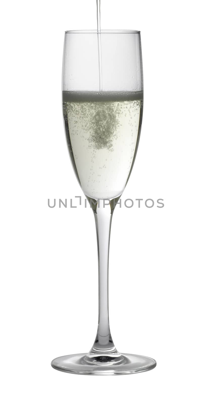 Studio photography of a champagne glass gets filled, isolated on white with clipping path