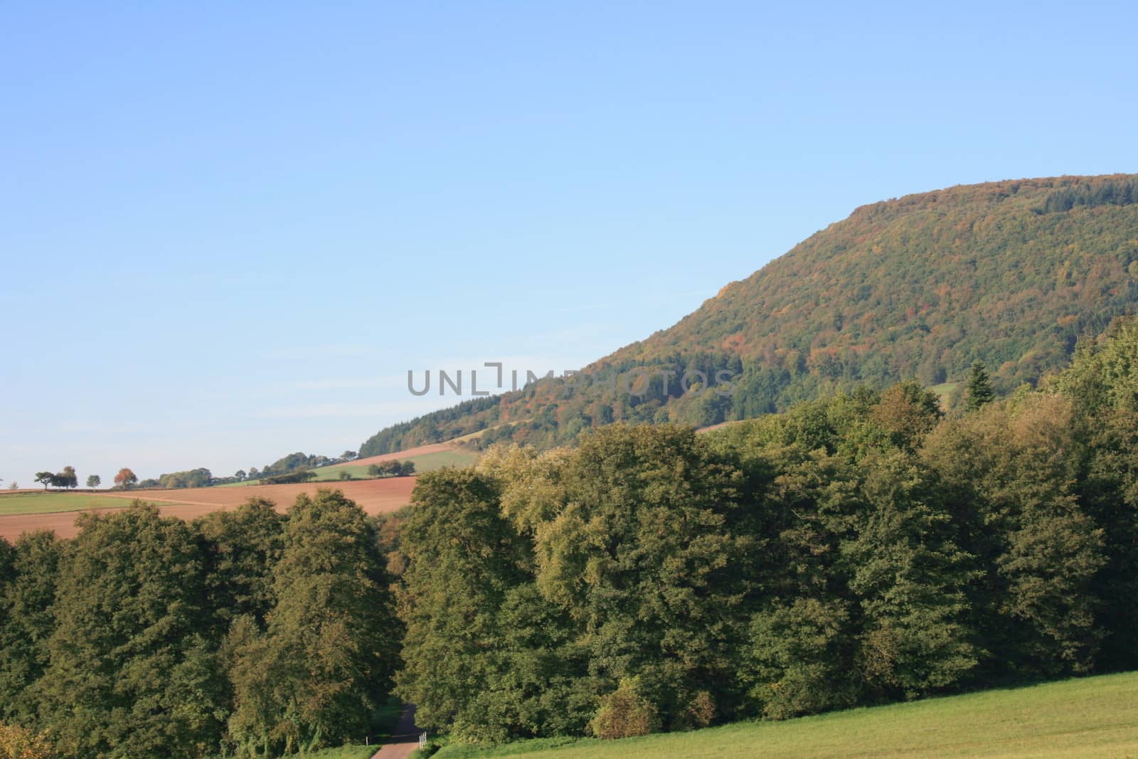 Mountains with forested mountain