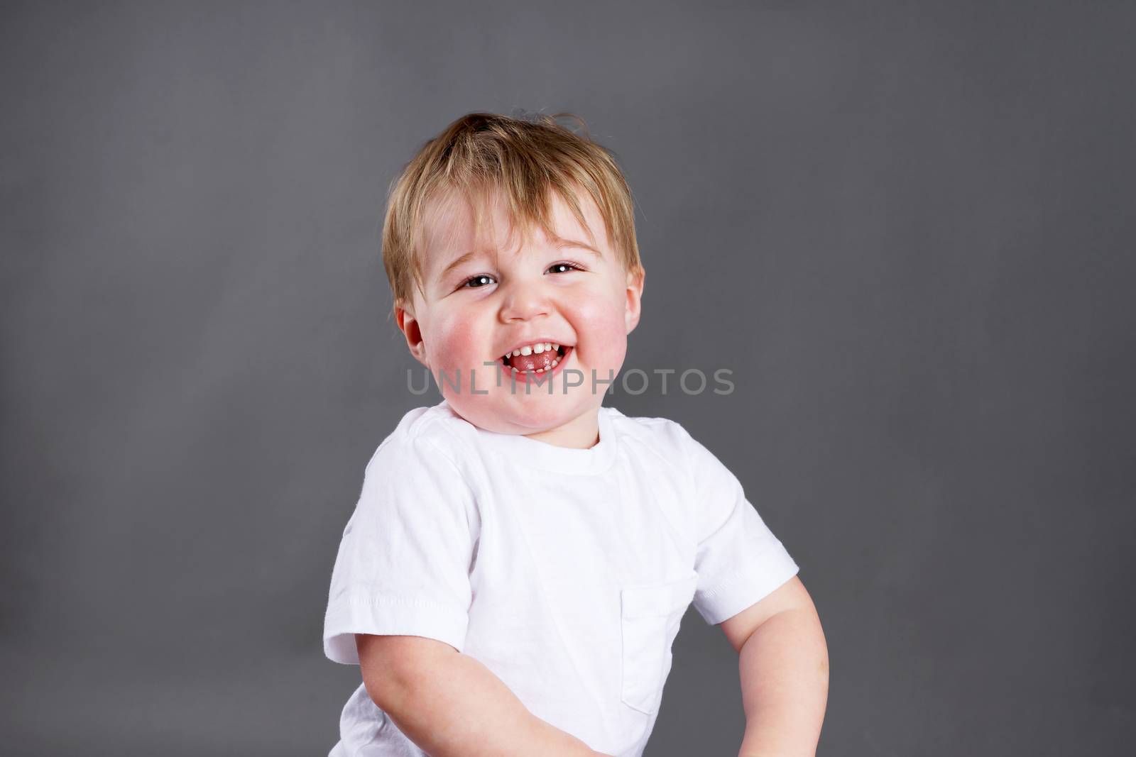 Cute little blond boy or toddler laughing, studio over grey
