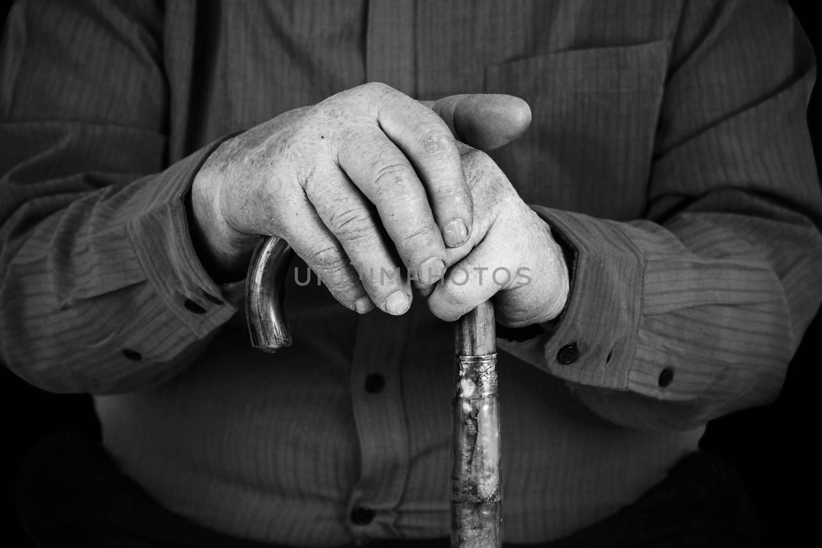 Old man hand's on wood cane in black and white