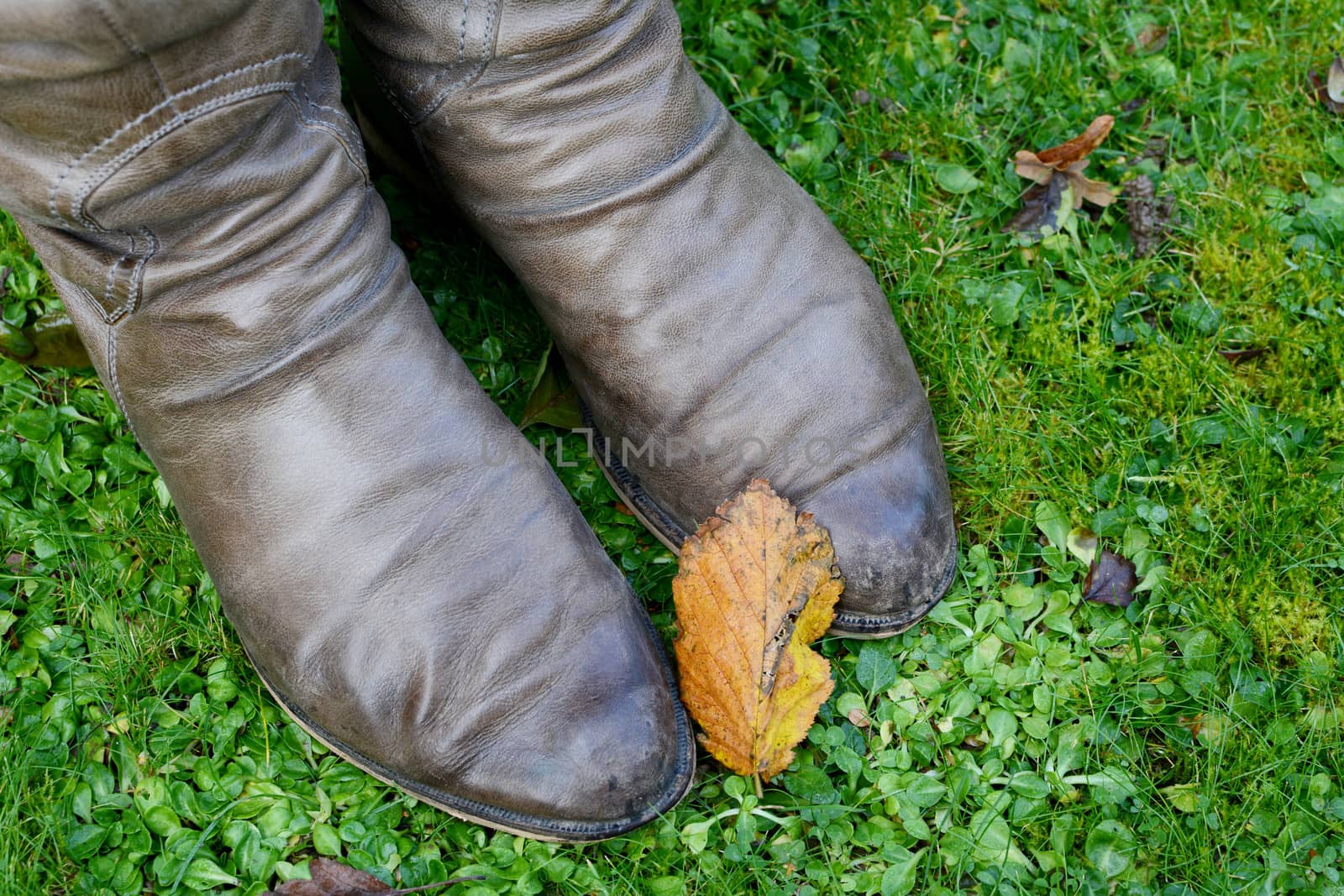 Golden autumn leaf rests on a woman's winter boots on green grass