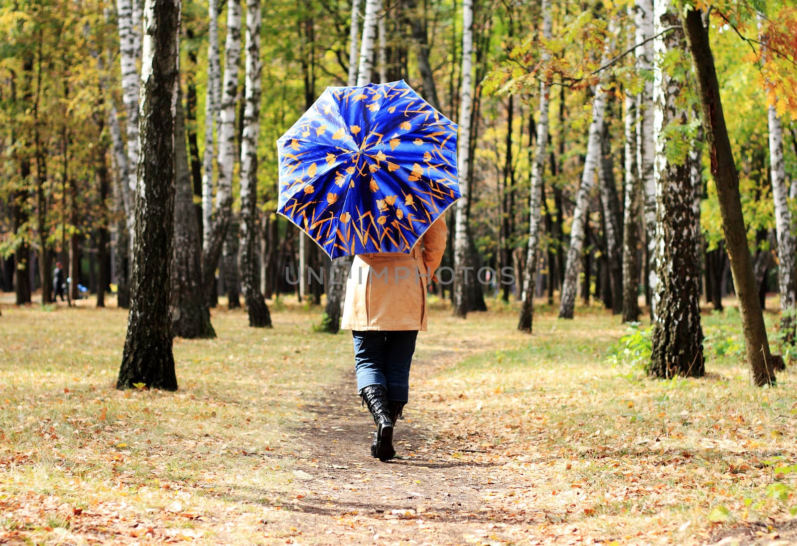 Women with umbrella in a autumn park