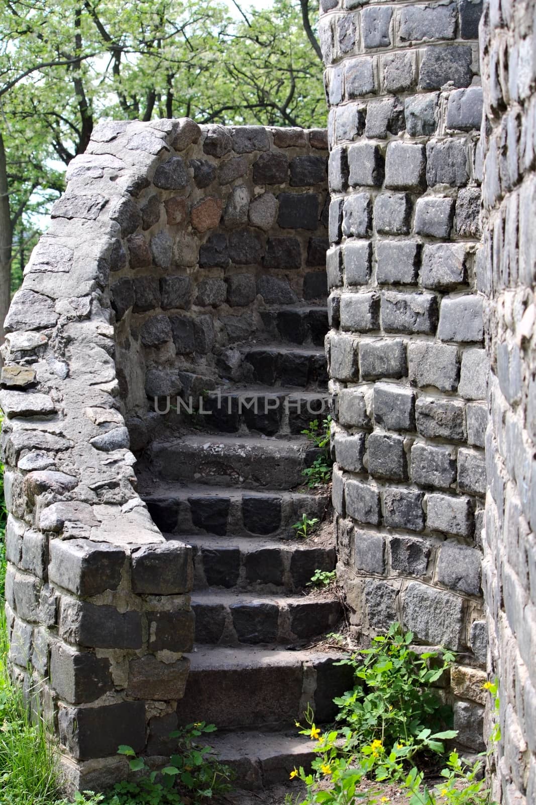 An ancient ladder at the old stone castle