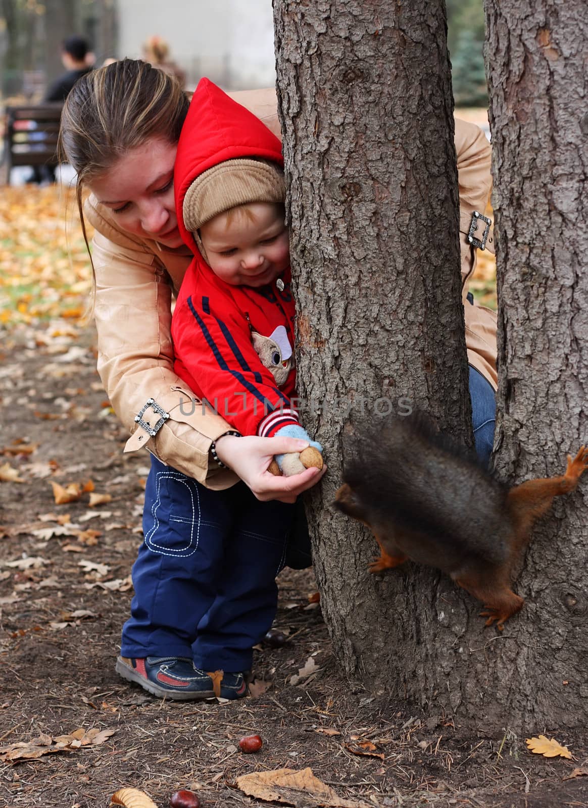 Little boy with mother feeds a squirrel in a park