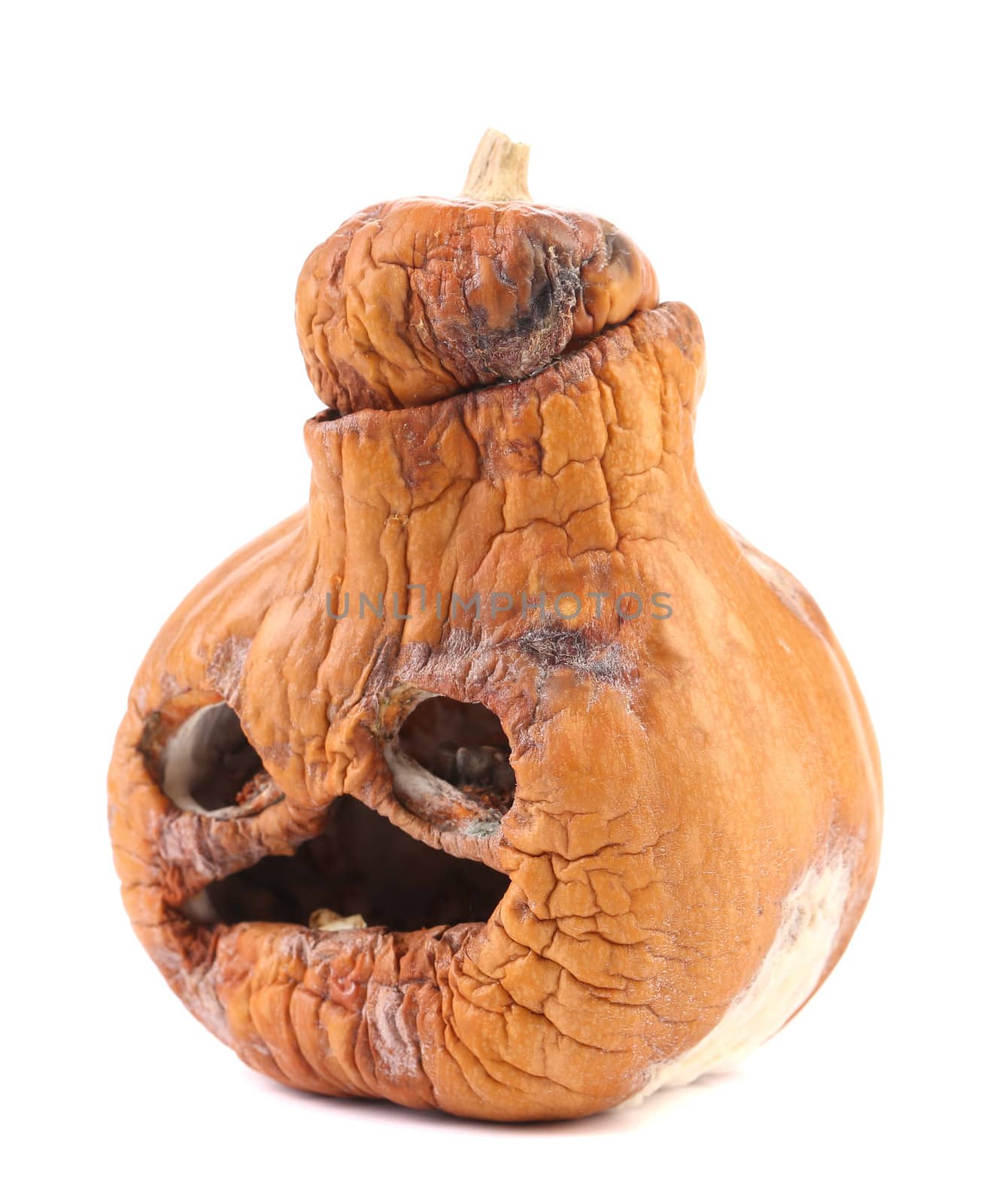 Old halloween pumpkin. by indigolotos