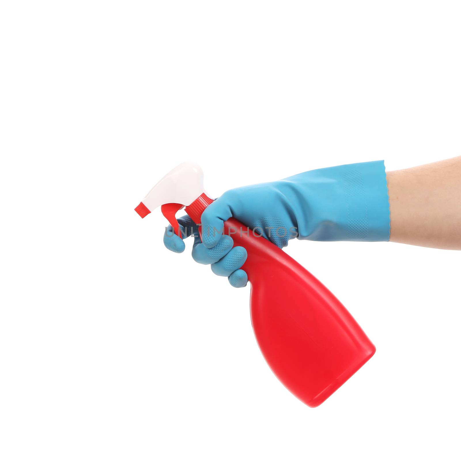 Hand in gloves holds spray bottle. by indigolotos
