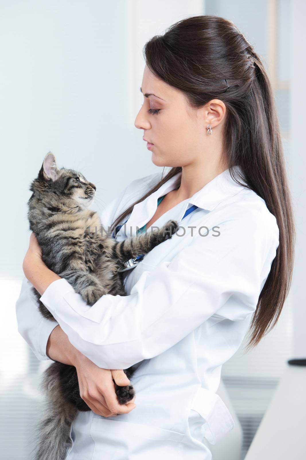 Veterinarian with a cat in her arms