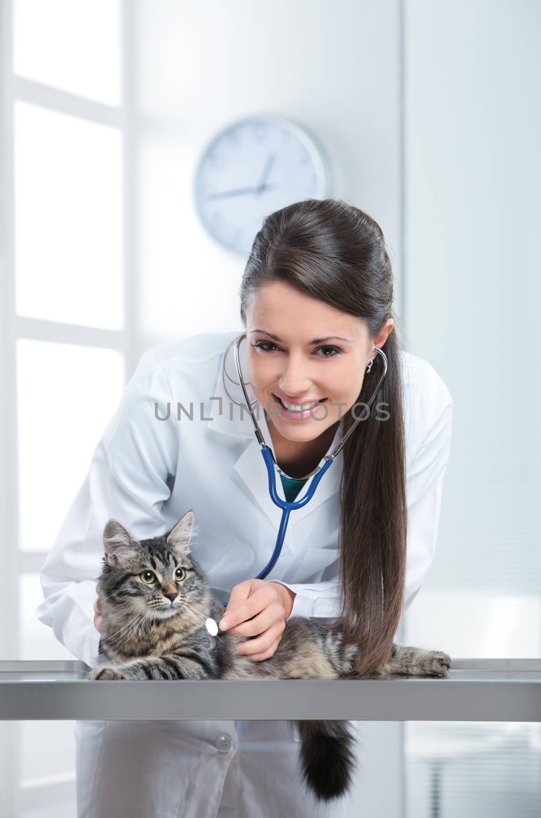 Beautiful Caucasian woman Veterinarian examining a kitten