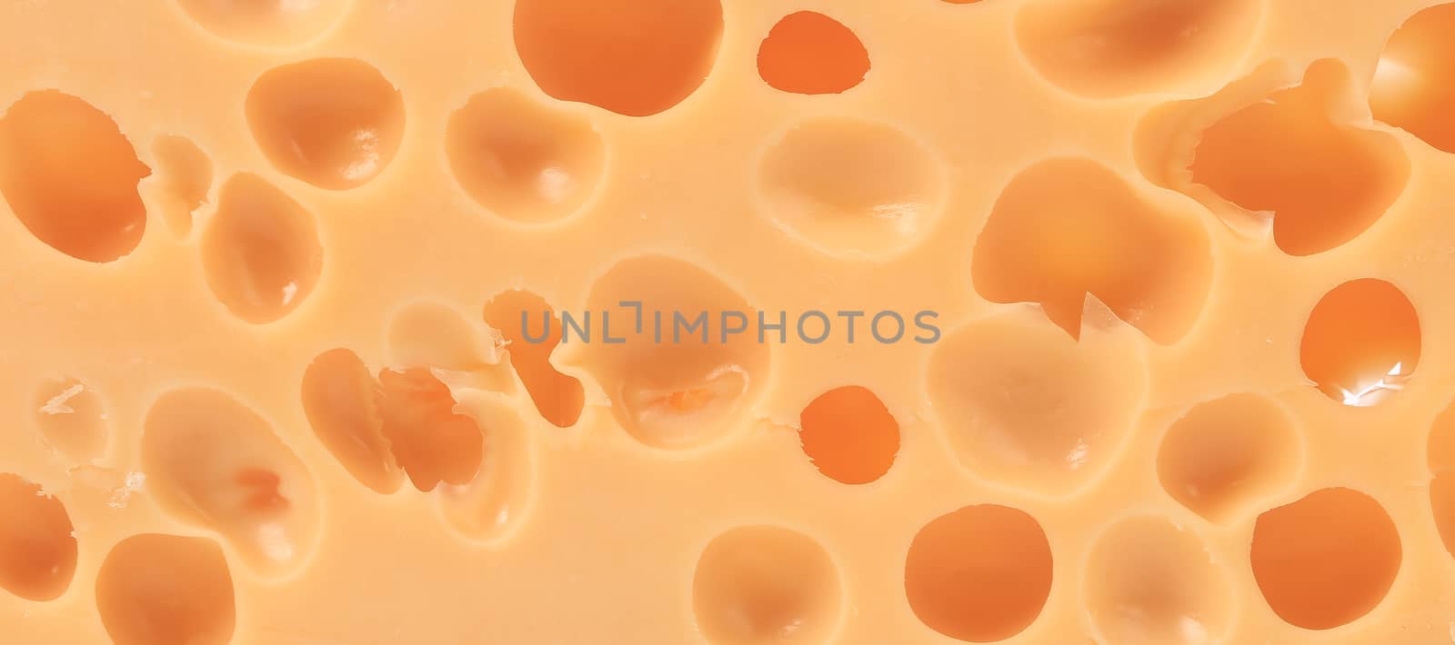 Close up of dutch cheese. Whole background.