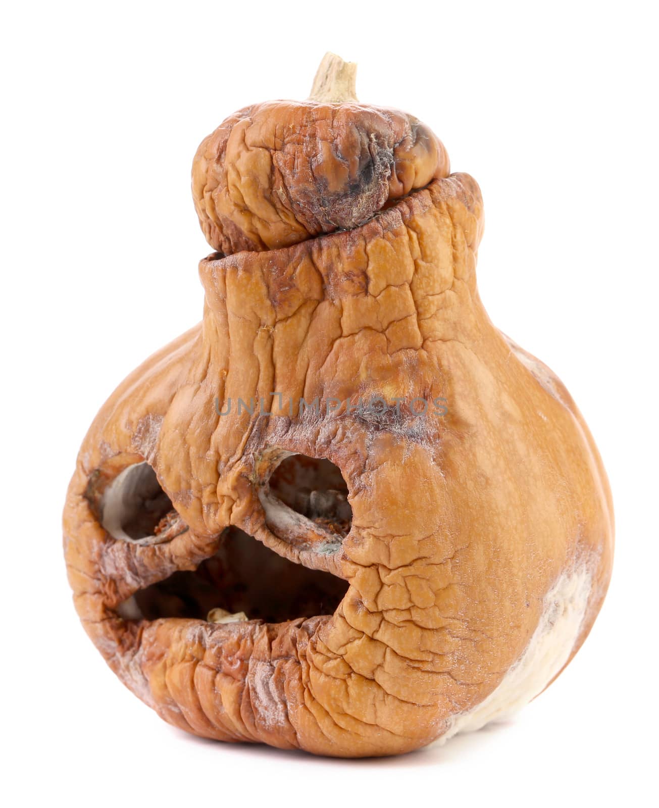 Old halloween pumpkin. Isolated on a white background.