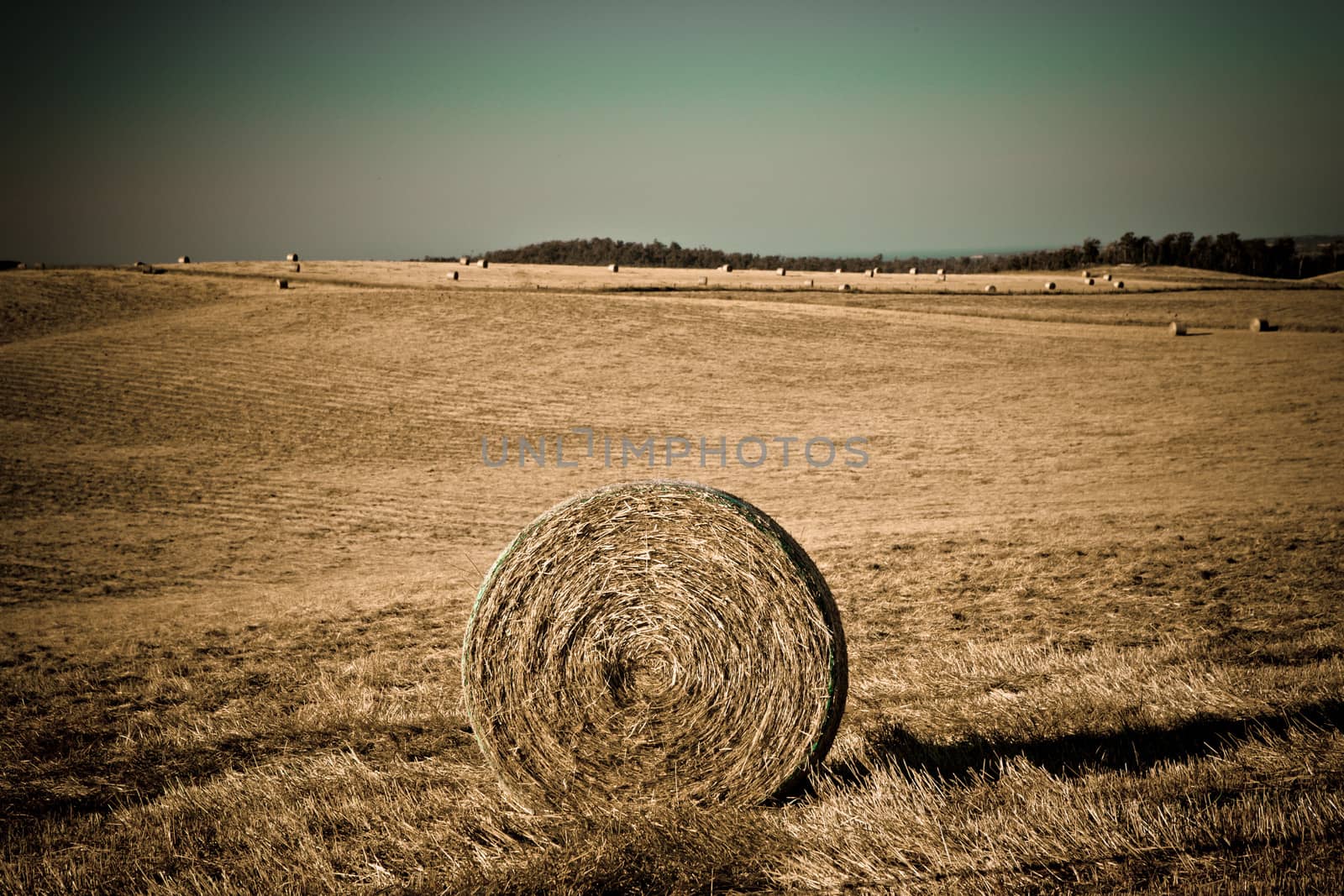 Wide angle shot of a field with haystacks by jrstock