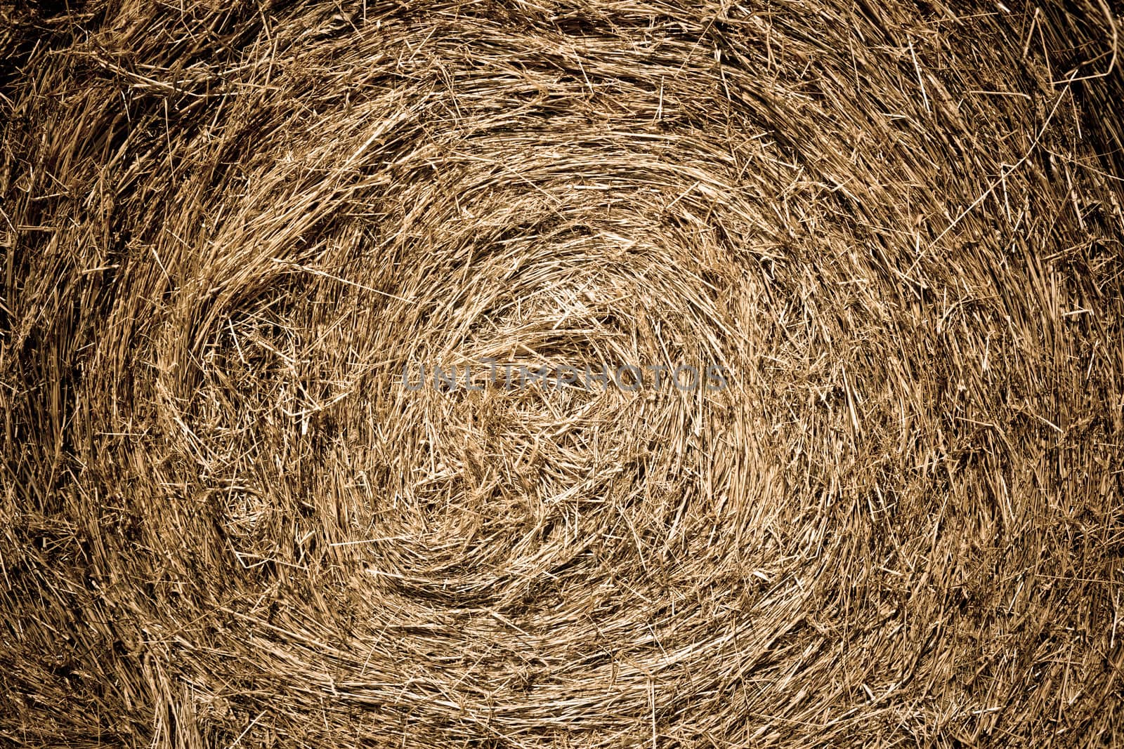 Closeup detail of the texture of a circular hay bale made of baled dried grass for use as silage and winter feed for livestock