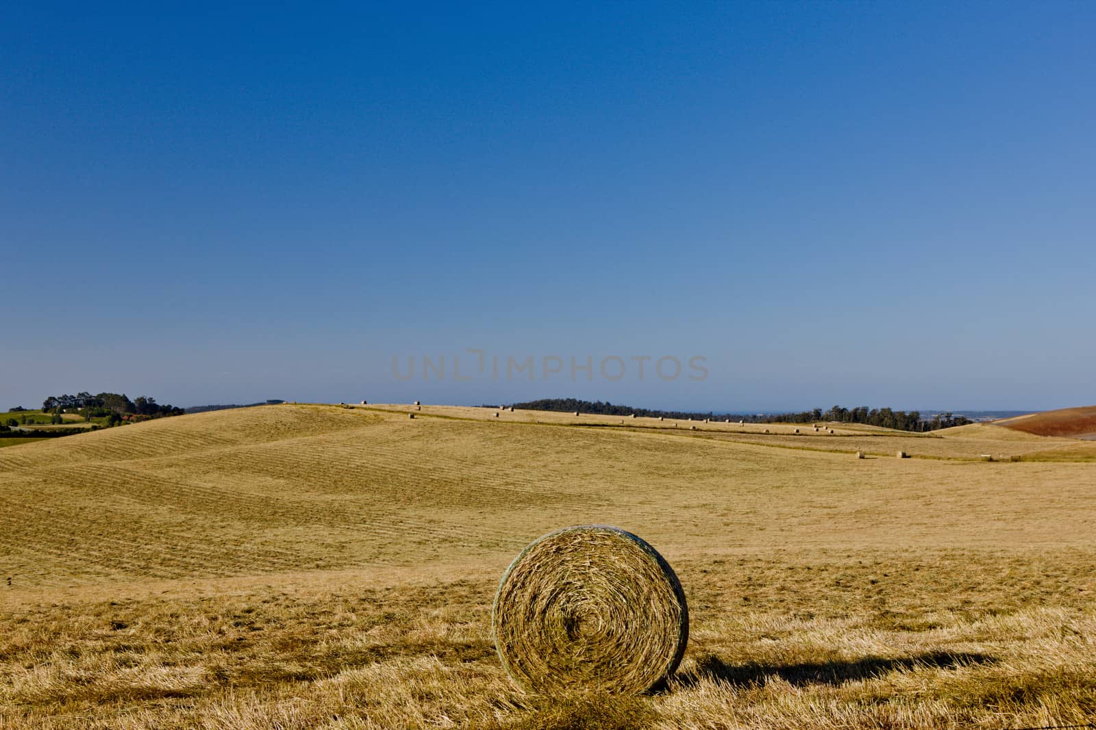 Circular hay bale in a newly cut agricultural field landscape under sunny blue sky