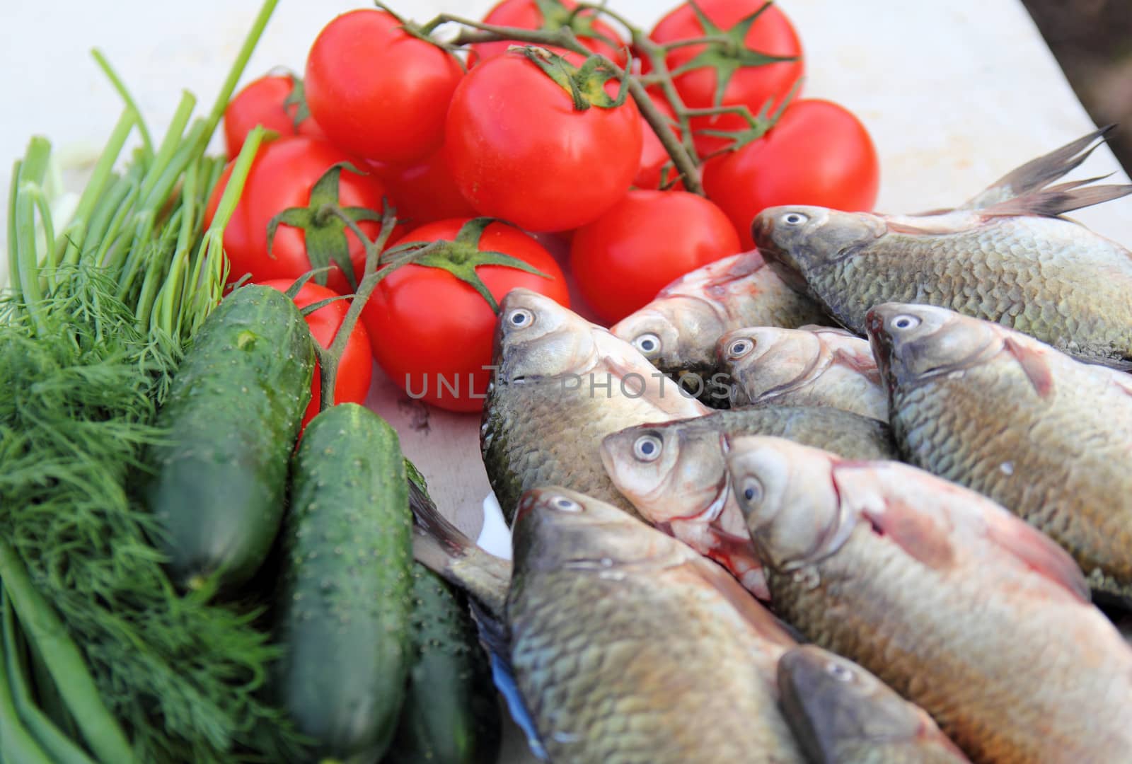 fresh herbs, vegetables and fresh fish lying on the table