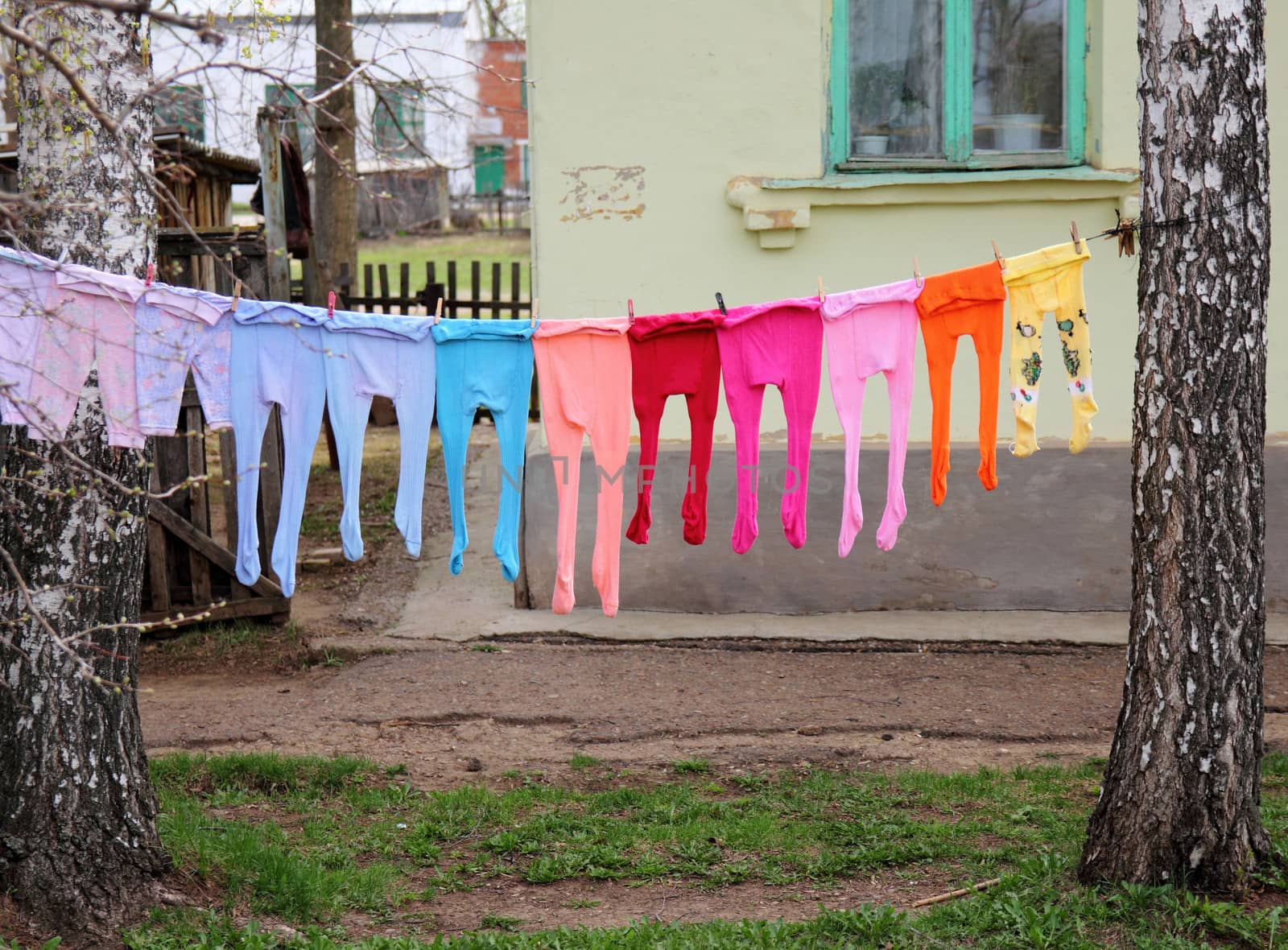 laundered children's colored tights drying on the street