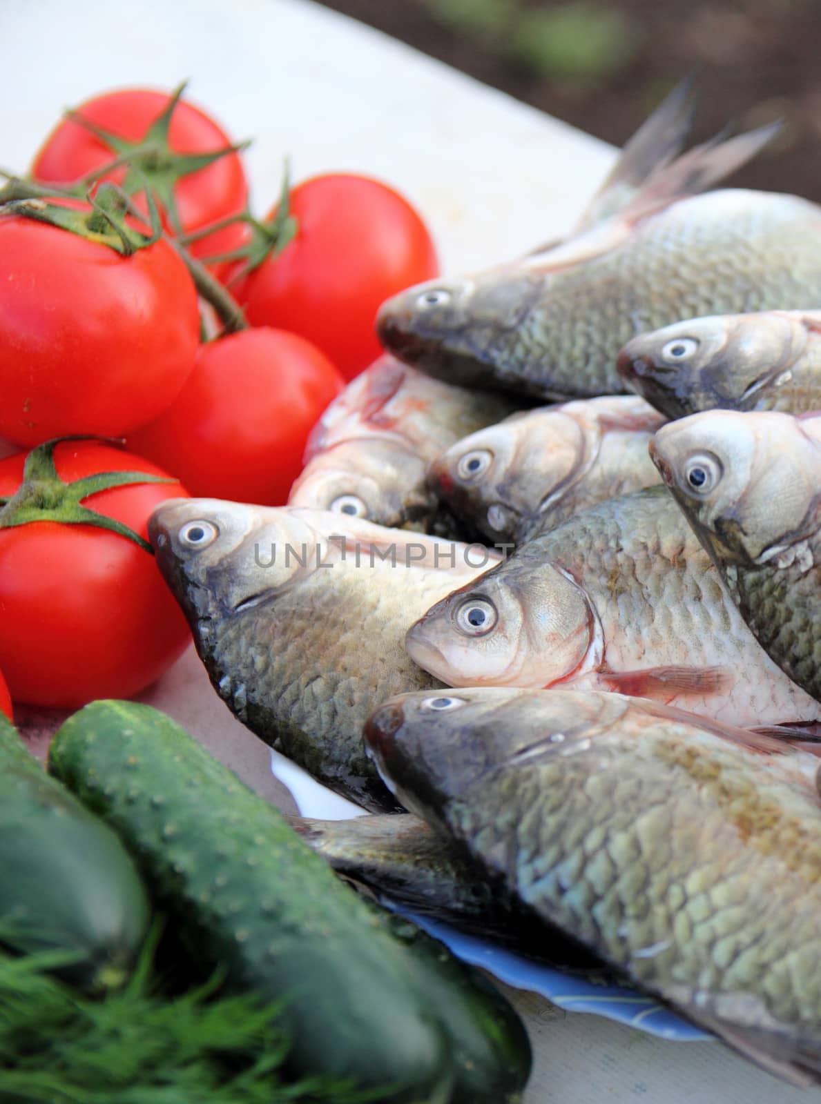 still life with fresh fish, herbs and vegetables on the nature