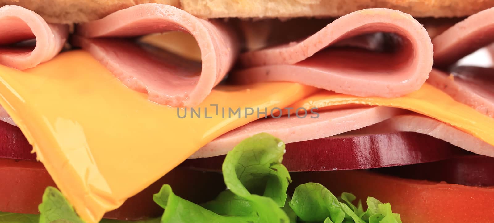 Close up of fresh sandwich. Whole background.