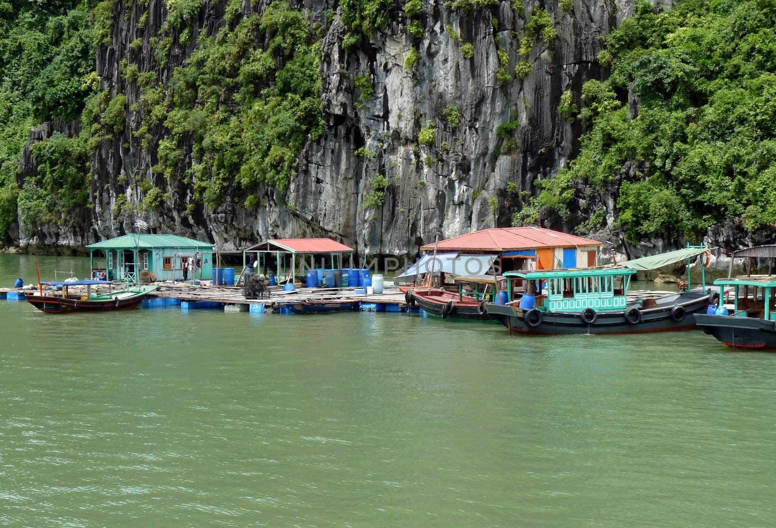 Fishermen Floating Village On Famous Halong Bay In North Of Vietnam