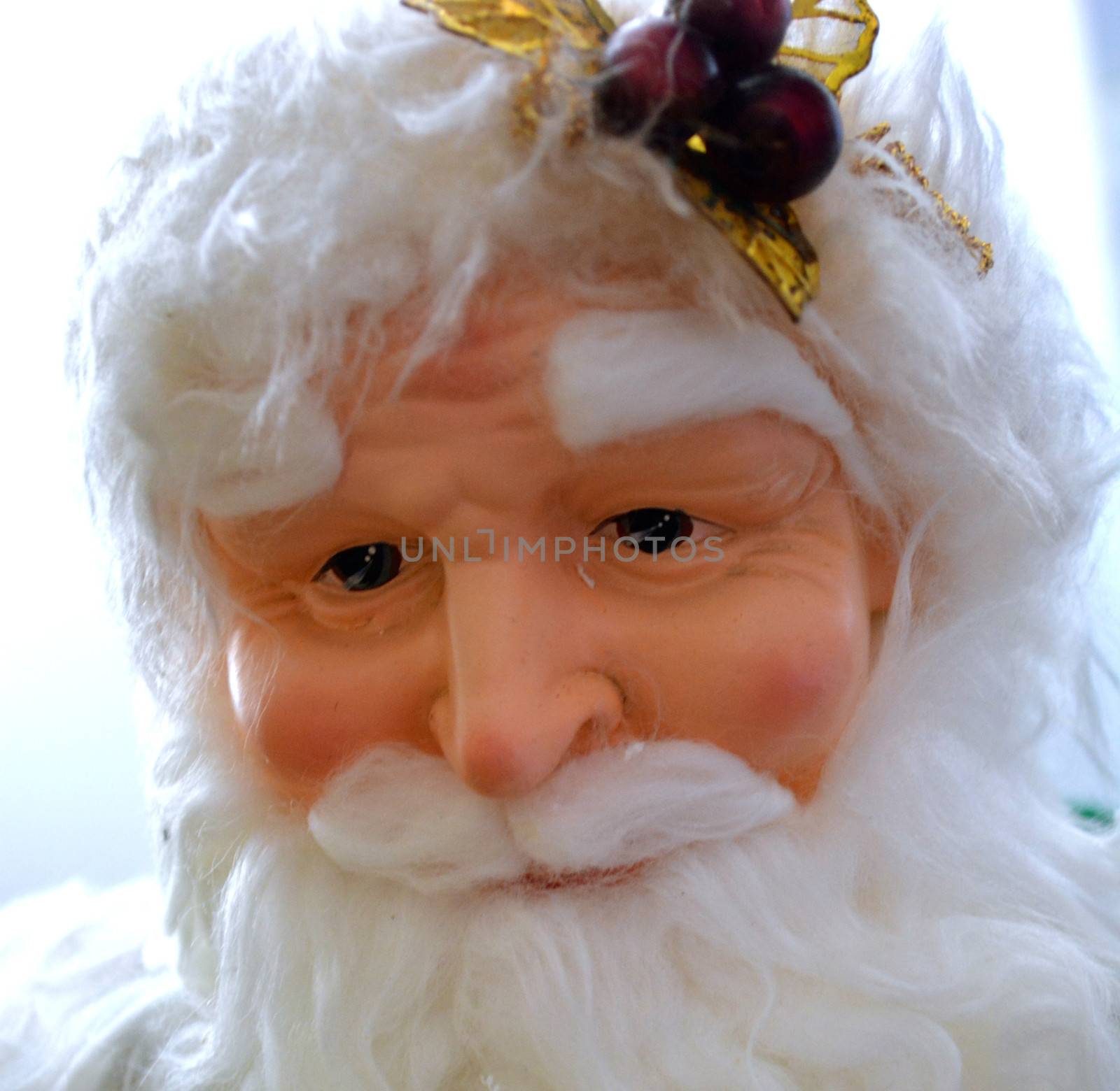 Santa Claus stares out from behind beard