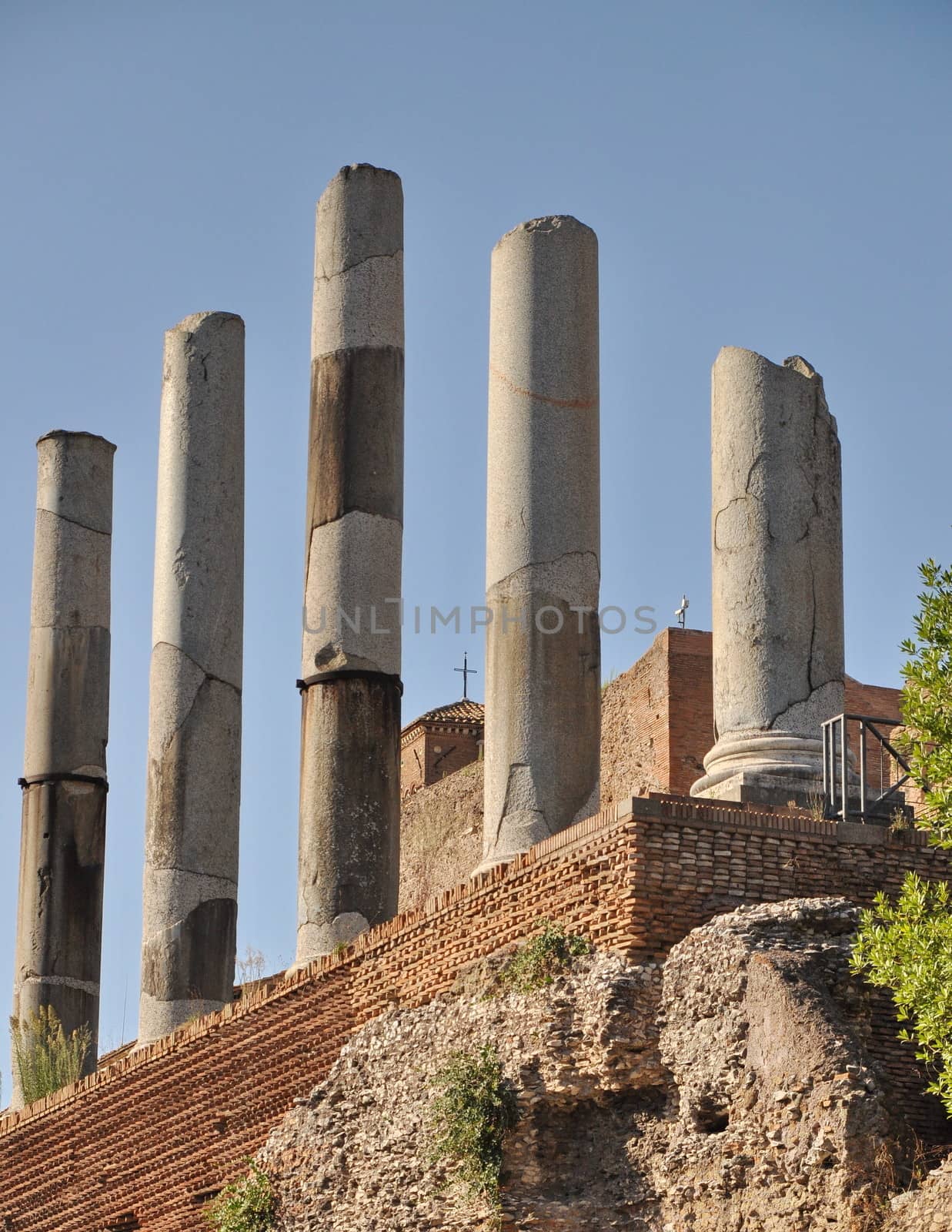 Columns in Rome, Italy by anderm