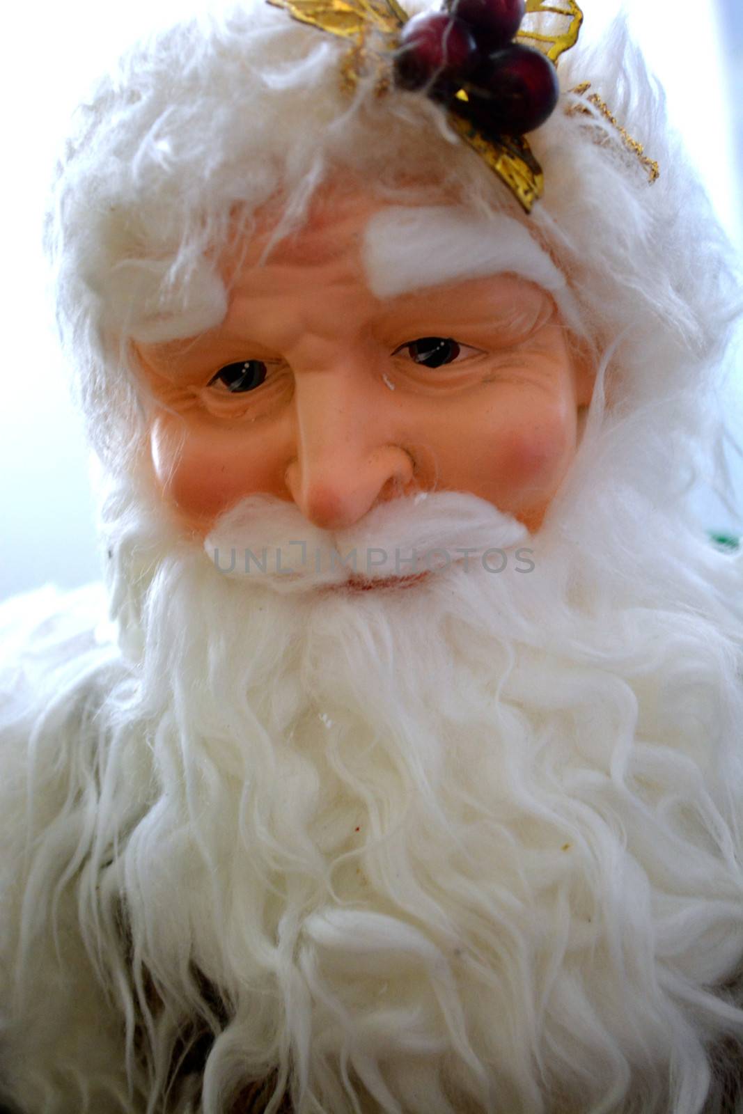 Santa Claus stares out from behind beard