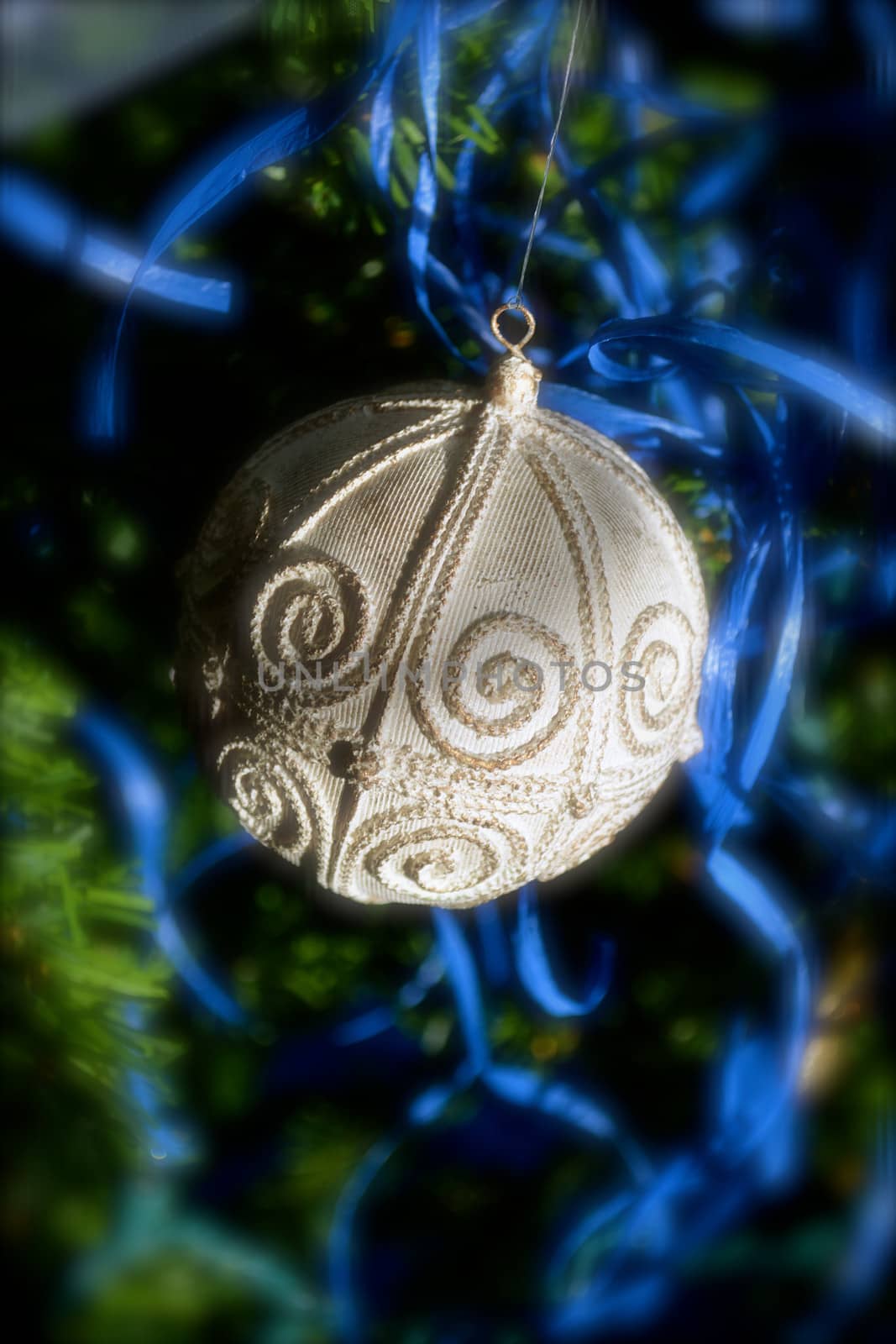 Victorian Ornament by RefocusPhoto