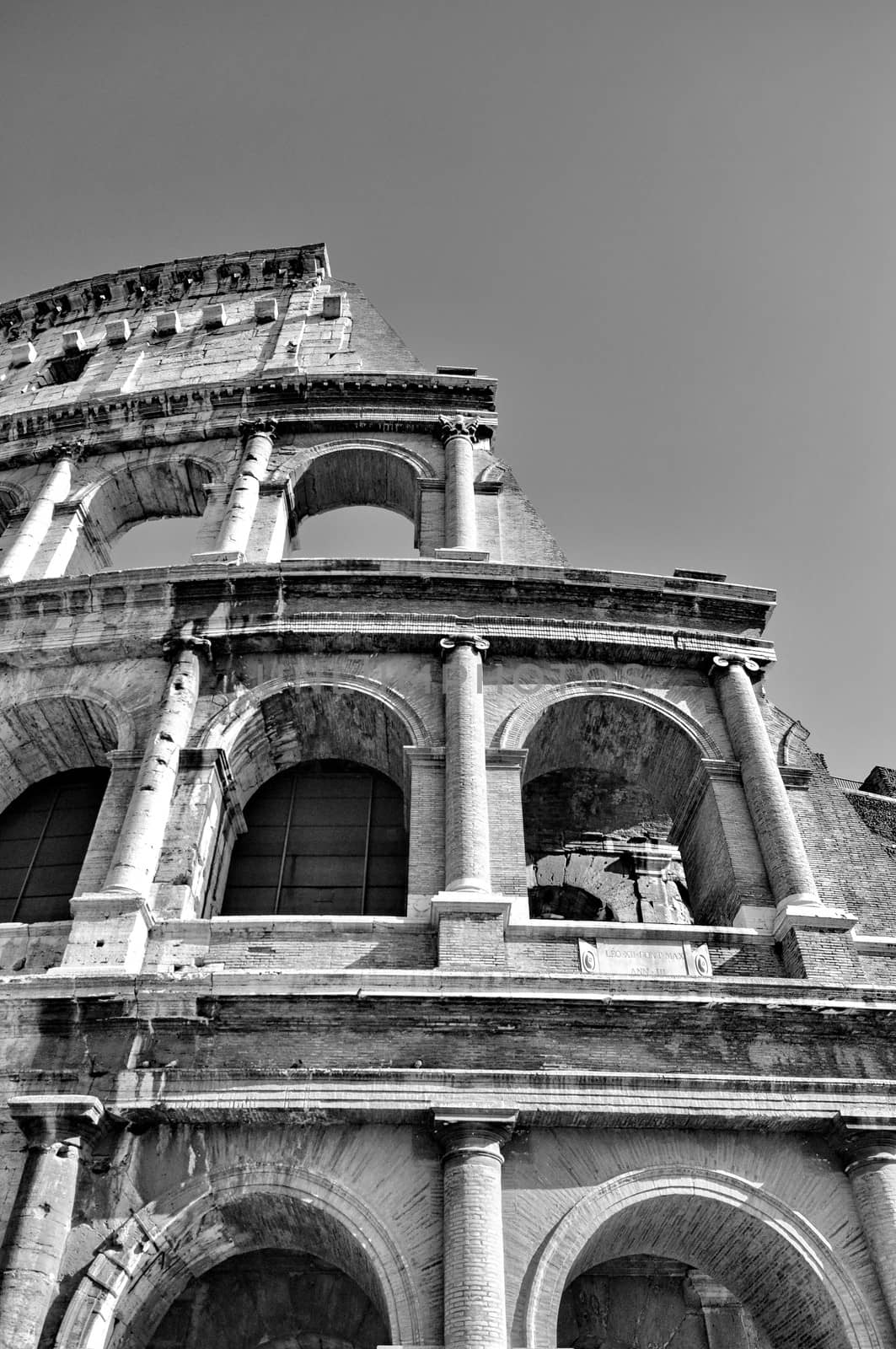 Colosseum of Rome, Italy by anderm