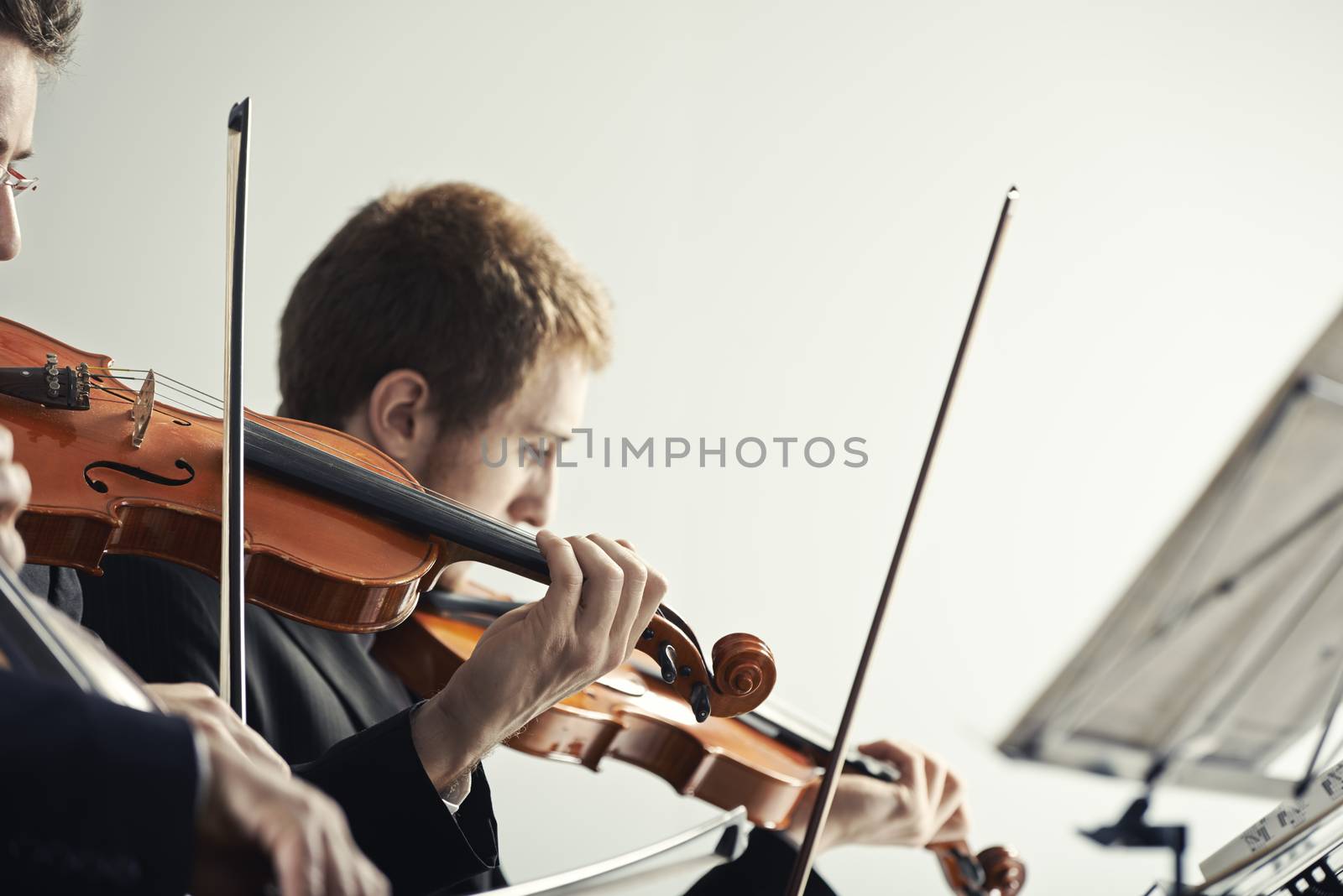 Violinists playing at the concert