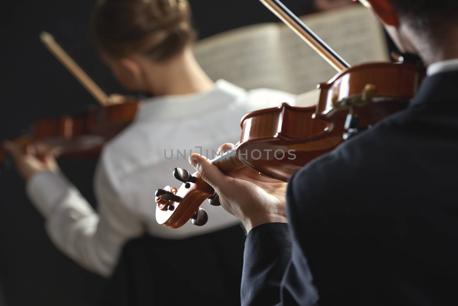 Violinists playing at the concert, rear view