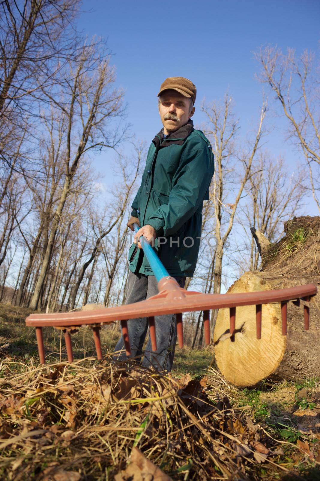 Elderly worker running in the park  in autumn